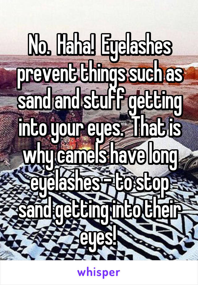 No.  Haha!  Eyelashes prevent things such as sand and stuff getting into your eyes.  That is why camels have long eyelashes - to stop sand getting into their eyes! 