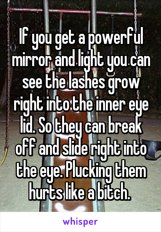 If you get a powerful mirror and light you can see the lashes grow right into the inner eye lid. So they can break off and slide right into the eye. Plucking them hurts like a bitch. 