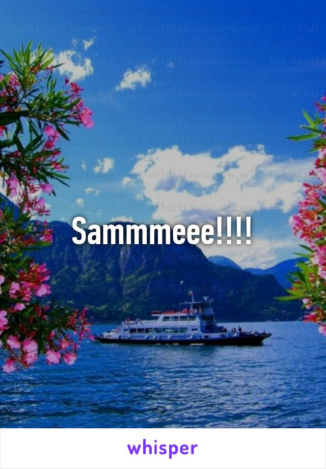 Sammmeee!!!!