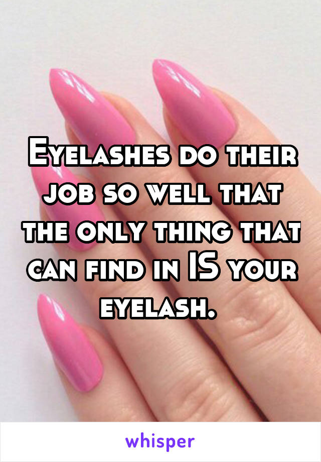 Eyelashes do their job so well that the only thing that can find in IS your eyelash. 