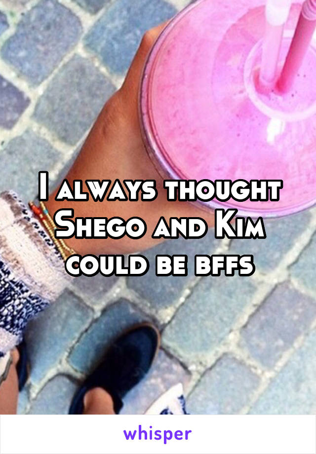 I always thought Shego and Kim could be bffs