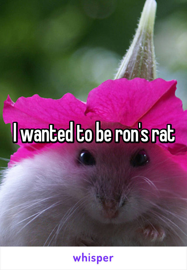 I wanted to be ron's rat