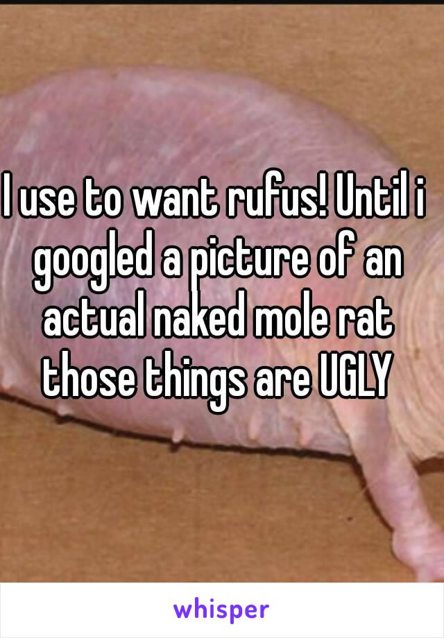 I use to want rufus! Until i googled a picture of an actual naked mole rat those things are UGLY