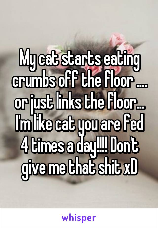 My cat starts eating crumbs off the floor .... or just links the floor... I'm like cat you are fed 4 times a day!!!! Don't give me that shit xD