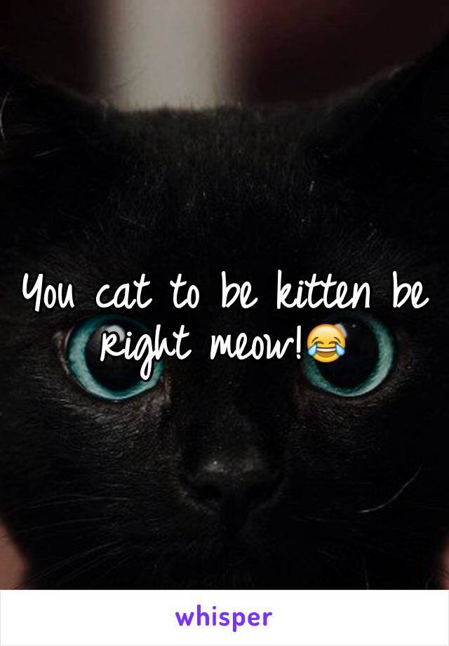 You cat to be kitten be right meow!😂