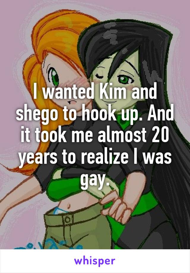 I wanted Kim and shego to hook up. And it took me almost 20 years to realize I was gay.