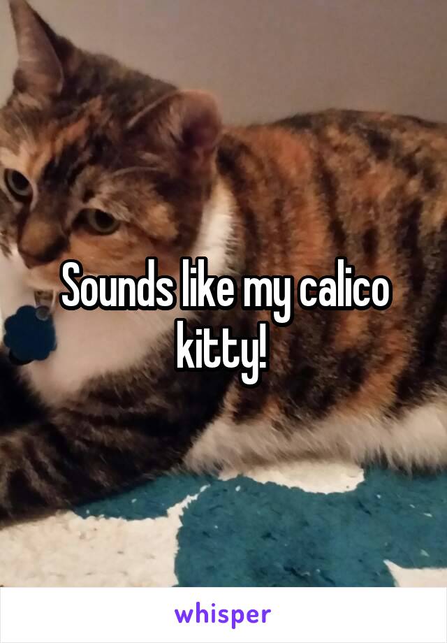 Sounds like my calico kitty! 