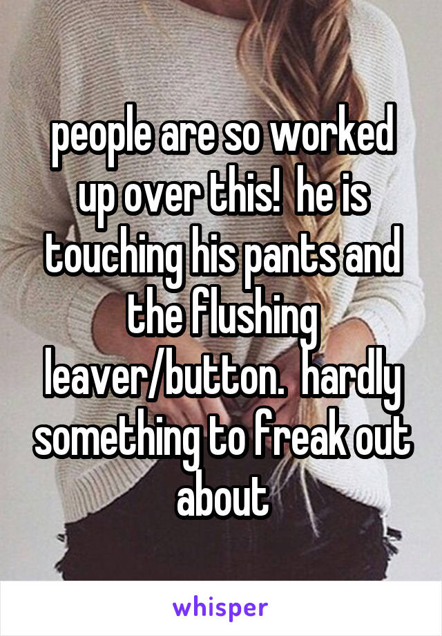 people are so worked up over this!  he is touching his pants and the flushing leaver/button.  hardly something to freak out about