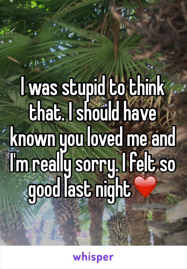 I was stupid to think that. I should have known you loved me and I'm really sorry. I felt so good last night❤️