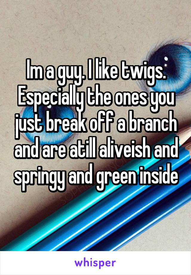 Im a guy. I like twigs. Especially the ones you just break off a branch and are atill aliveish and springy and green inside 