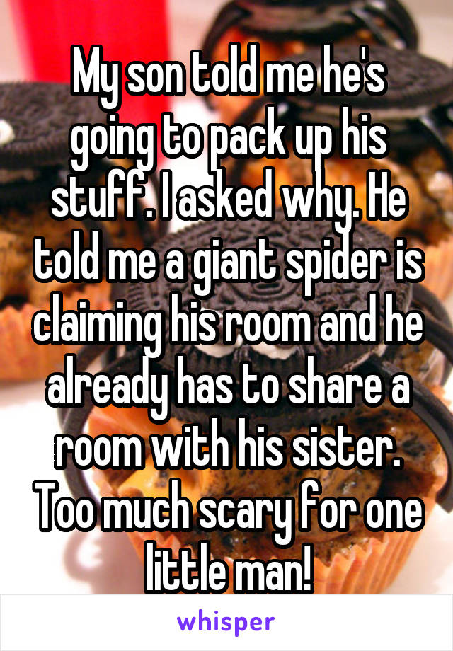 My son told me he's going to pack up his stuff. I asked why. He told me a giant spider is claiming his room and he already has to share a room with his sister. Too much scary for one little man!