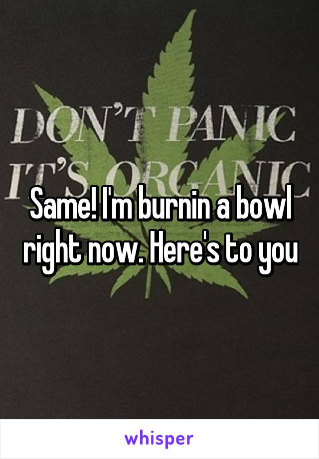 Same! I'm burnin a bowl right now. Here's to you