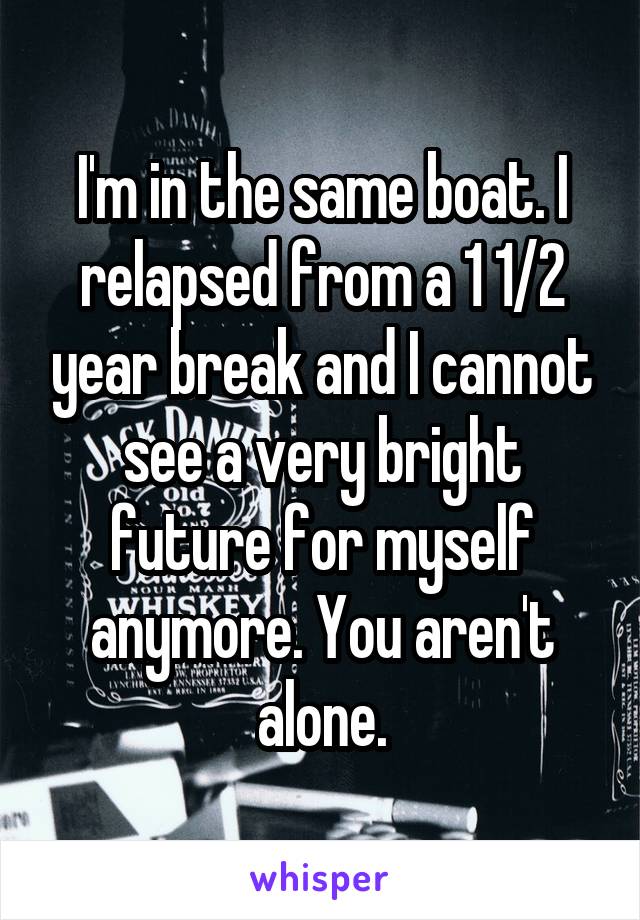 I'm in the same boat. I relapsed from a 1 1/2 year break and I cannot see a very bright future for myself anymore. You aren't alone.