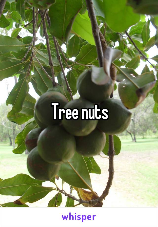 Tree nuts