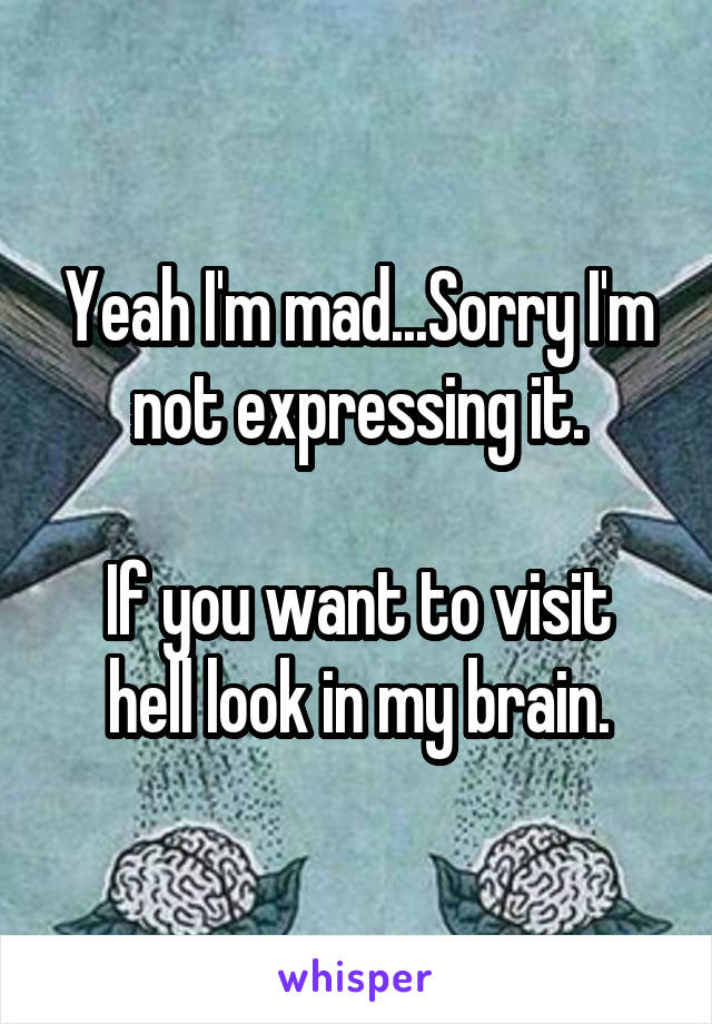 Yeah I'm mad...Sorry I'm not expressing it.

If you want to visit hell look in my brain.