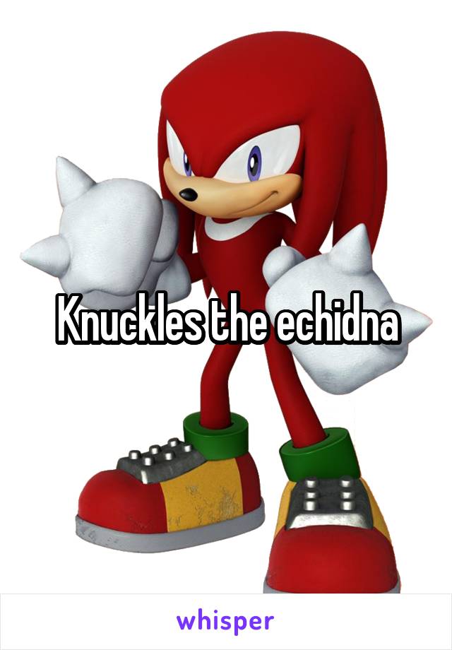 Knuckles the echidna