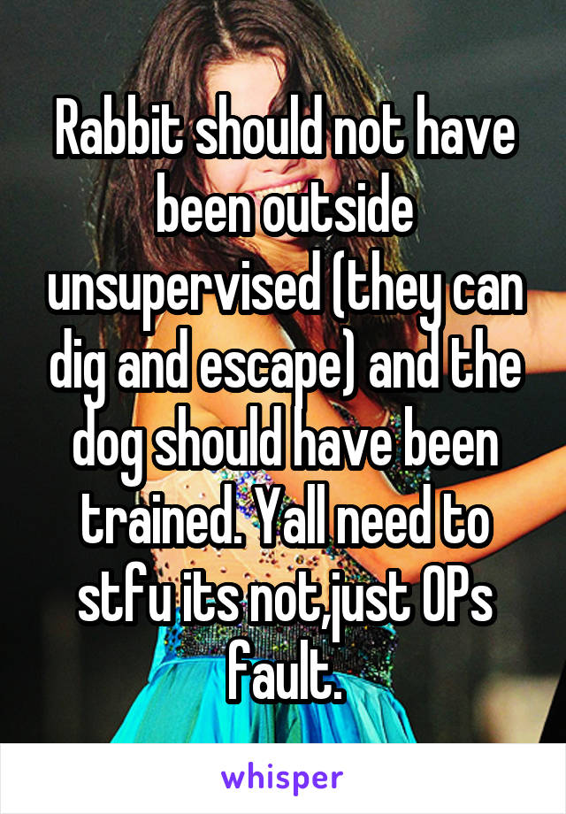 Rabbit should not have been outside unsupervised (they can dig and escape) and the dog should have been trained. Yall need to stfu its not,just OPs fault.