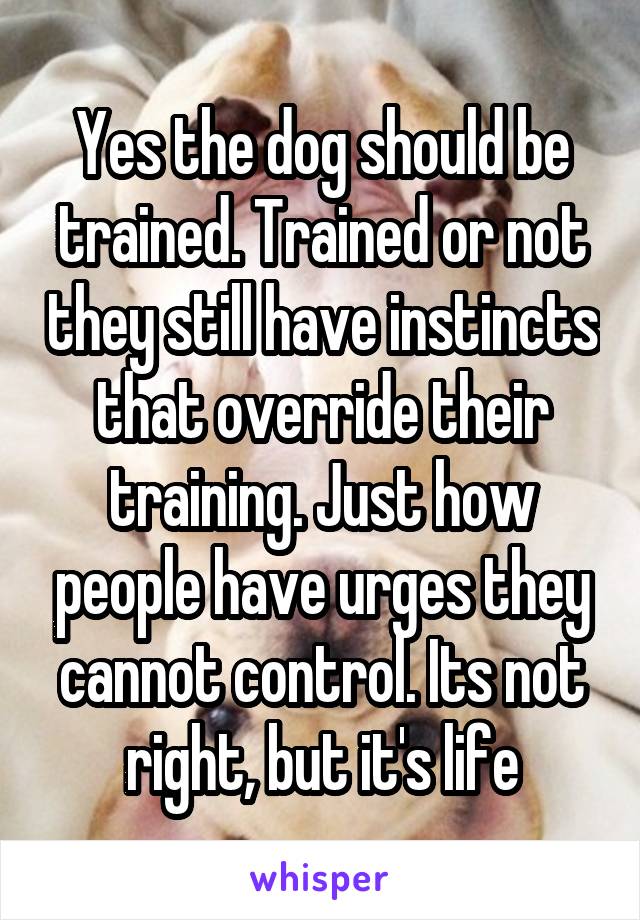 Yes the dog should be trained. Trained or not they still have instincts that override their training. Just how people have urges they cannot control. Its not right, but it's life