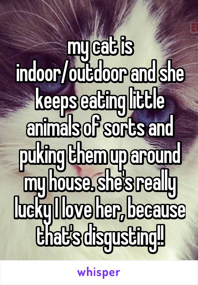 my cat is indoor/outdoor and she keeps eating little animals of sorts and puking them up around my house. she's really lucky I love her, because that's disgusting!!