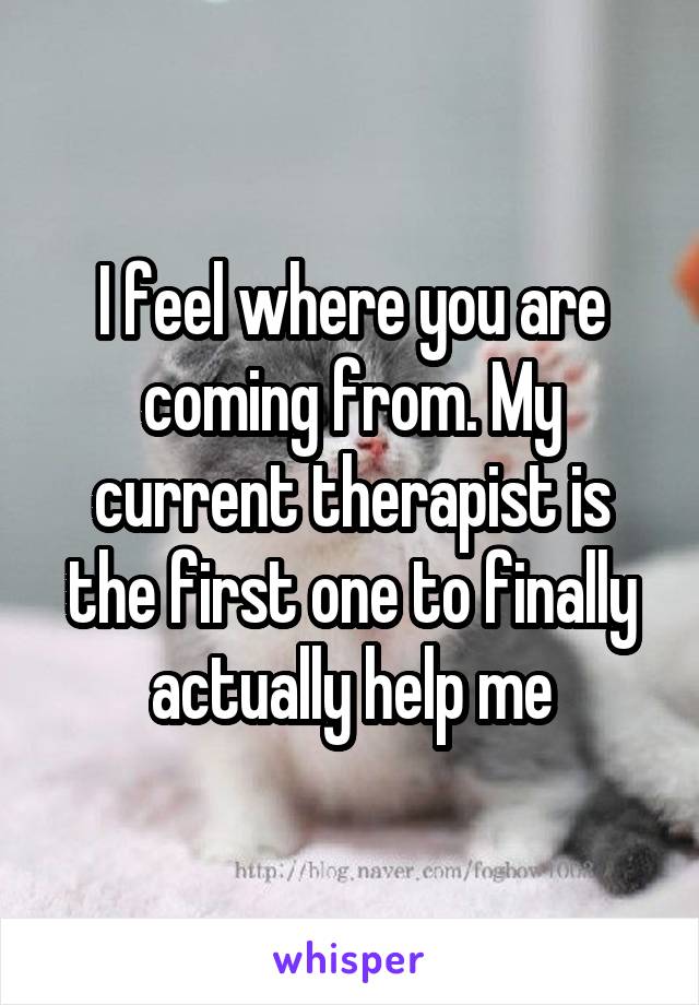 I feel where you are coming from. My current therapist is the first one to finally actually help me