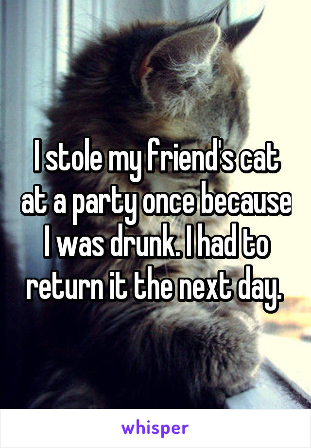 I stole my friend's cat at a party once because I was drunk. I had to return it the next day. 