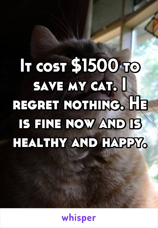 It cost $1500 to save my cat. I regret nothing. He is fine now and is healthy and happy. 