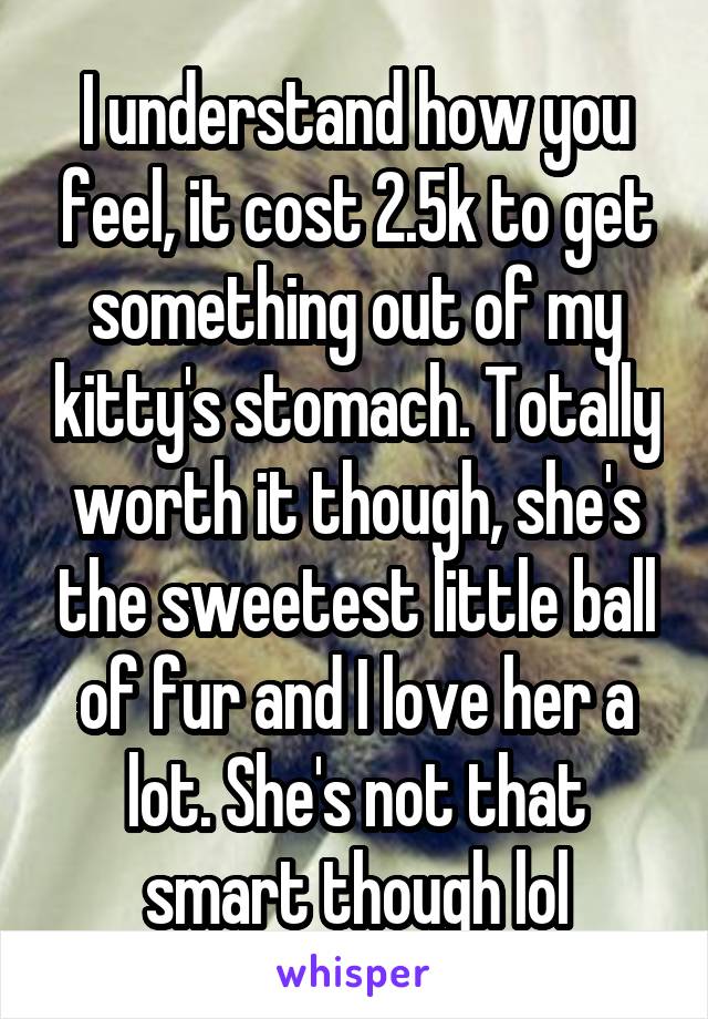 I understand how you feel, it cost 2.5k to get something out of my kitty's stomach. Totally worth it though, she's the sweetest little ball of fur and I love her a lot. She's not that smart though lol