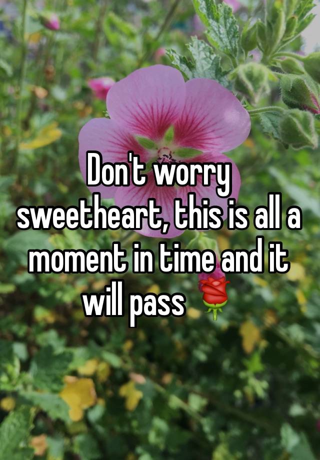 don-t-worry-sweetheart-this-is-all-a-moment-in-time-and-it-will-pass