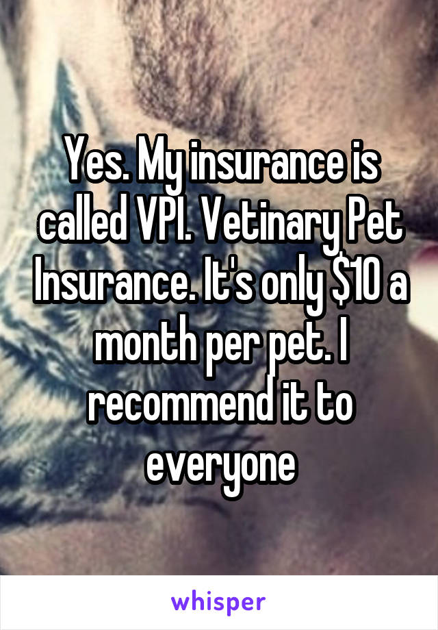 Yes. My insurance is called VPI. Vetinary Pet Insurance. It's only $10 a month per pet. I recommend it to everyone