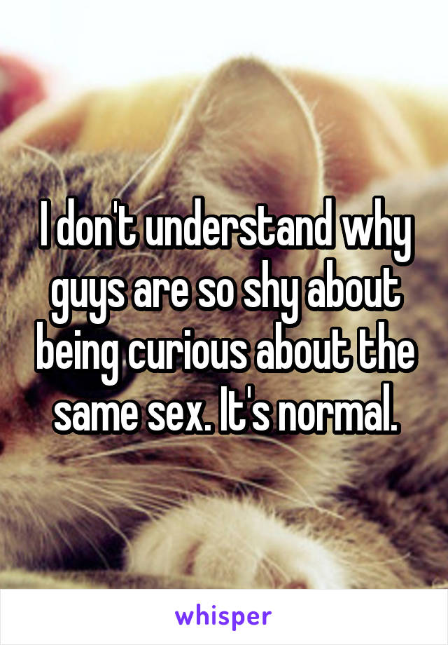 I don't understand why guys are so shy about being curious about the same sex. It's normal.
