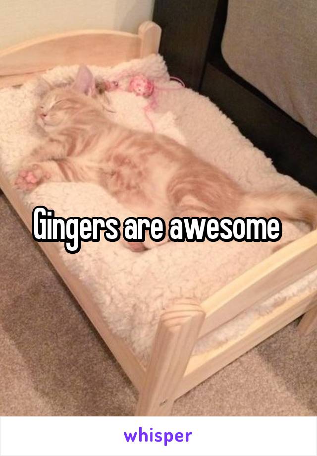 Gingers are awesome 
