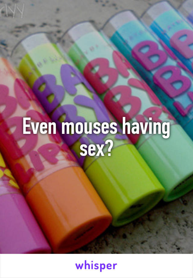 Even mouses having sex?