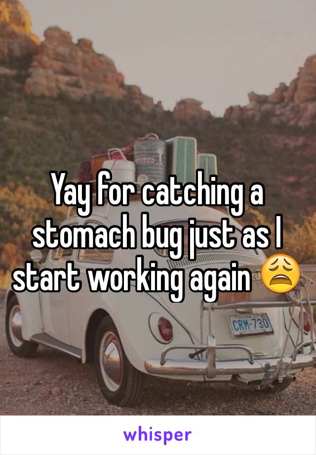 Yay for catching a stomach bug just as I start working again 😩