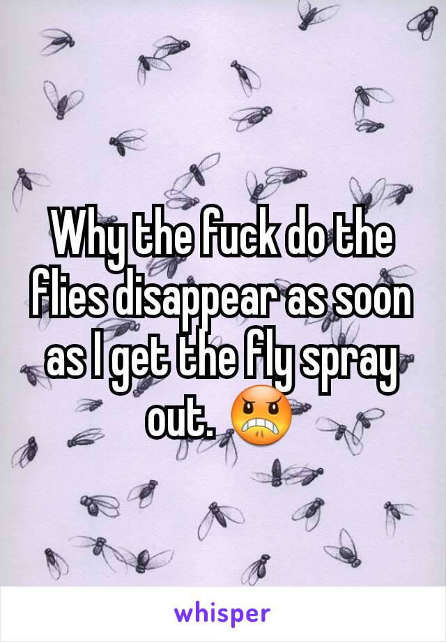 Why the fuck do the flies disappear as soon as I get the fly spray out. 😠