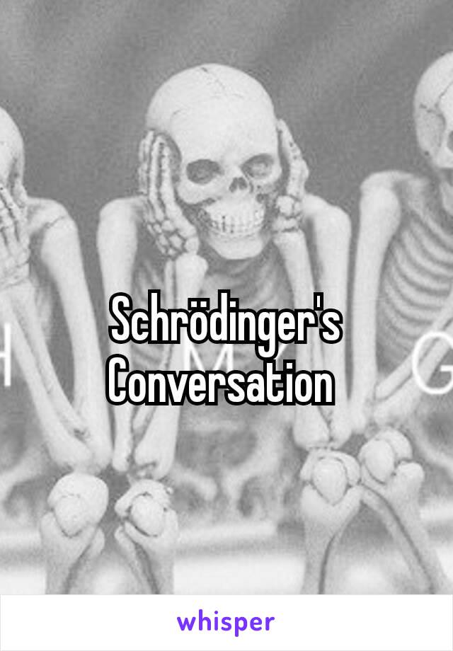 Schrödinger's Conversation 