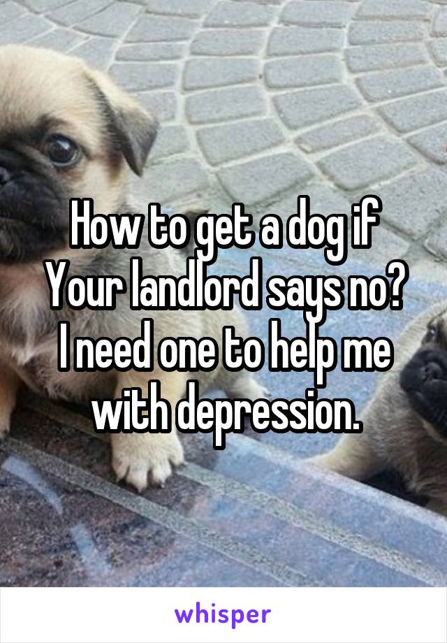 How to get a dog if Your landlord says no?
I need one to help me with depression.
