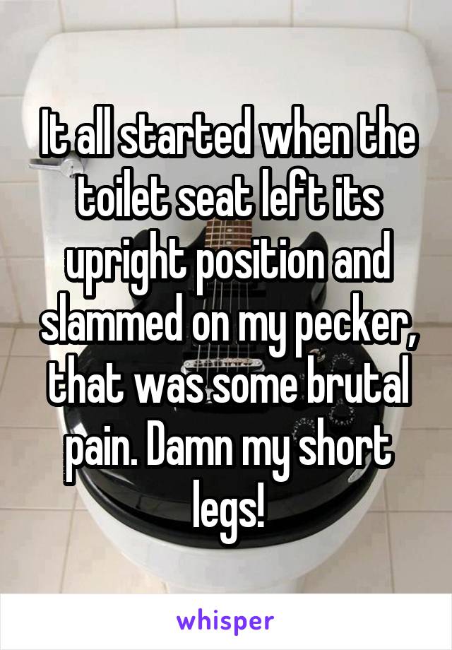 It all started when the toilet seat left its upright position and slammed on my pecker, that was some brutal pain. Damn my short legs!
