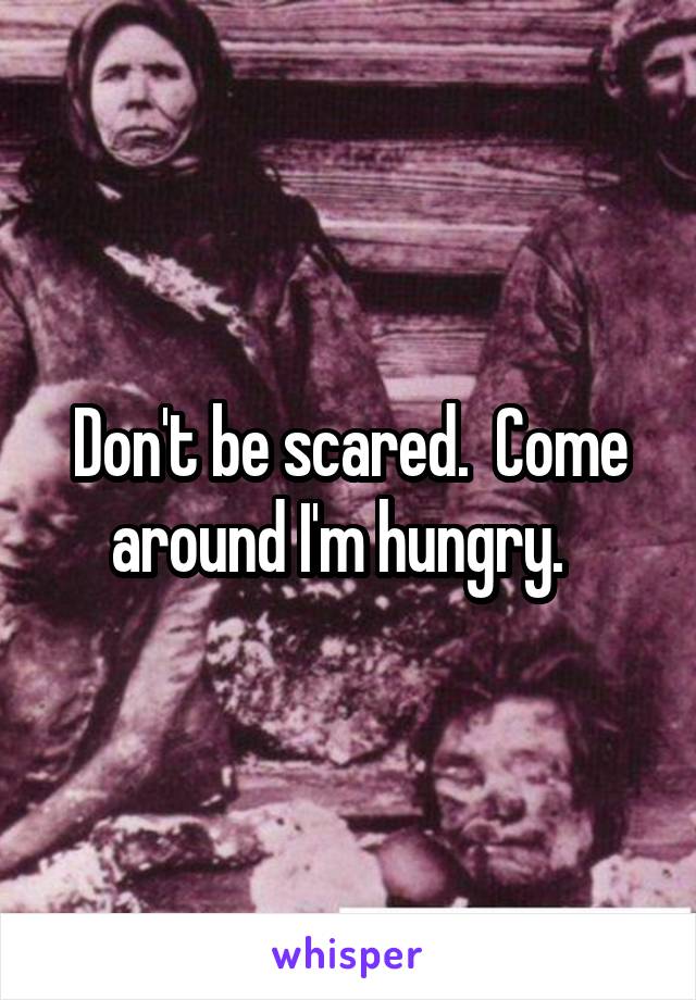 Don't be scared.  Come around I'm hungry.  