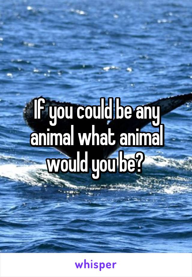 If you could be any animal what animal would you be? 