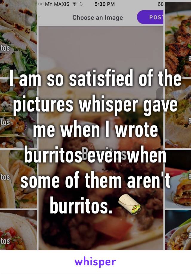 I am so satisfied of the pictures whisper gave me when I wrote burritos even when some of them aren't burritos. 🌯