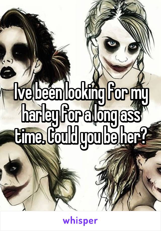 Ive been looking for my harley for a long ass time. Could you be her?