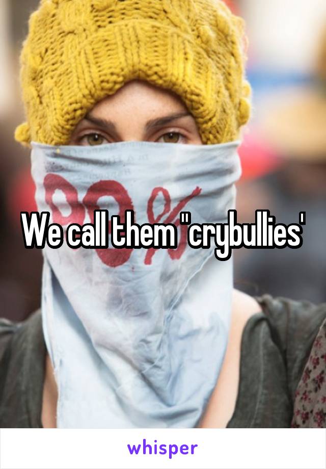 We call them "crybullies"