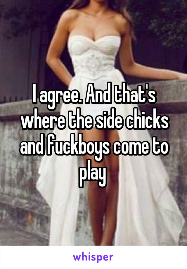 I agree. And that's where the side chicks and fuckboys come to play 