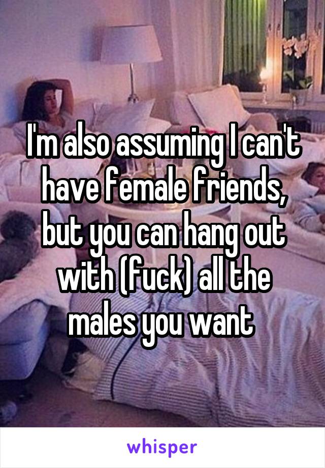 I'm also assuming I can't have female friends, but you can hang out with (fuck) all the males you want 