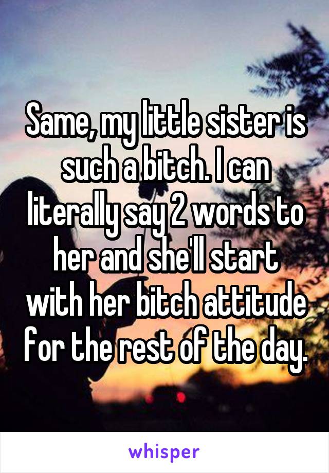 Same, my little sister is such a bitch. I can literally say 2 words to her and she'll start with her bitch attitude for the rest of the day.
