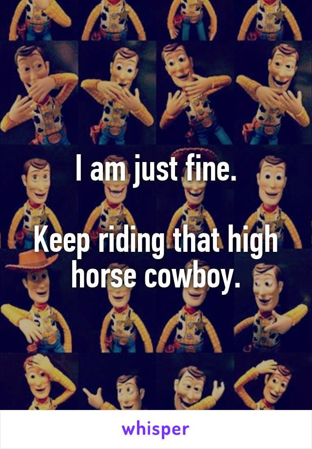 I am just fine.

Keep riding that high horse cowboy.