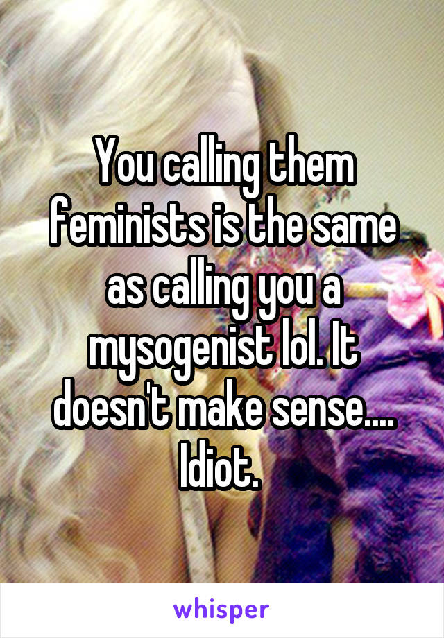 You calling them feminists is the same as calling you a mysogenist lol. It doesn't make sense.... Idiot. 