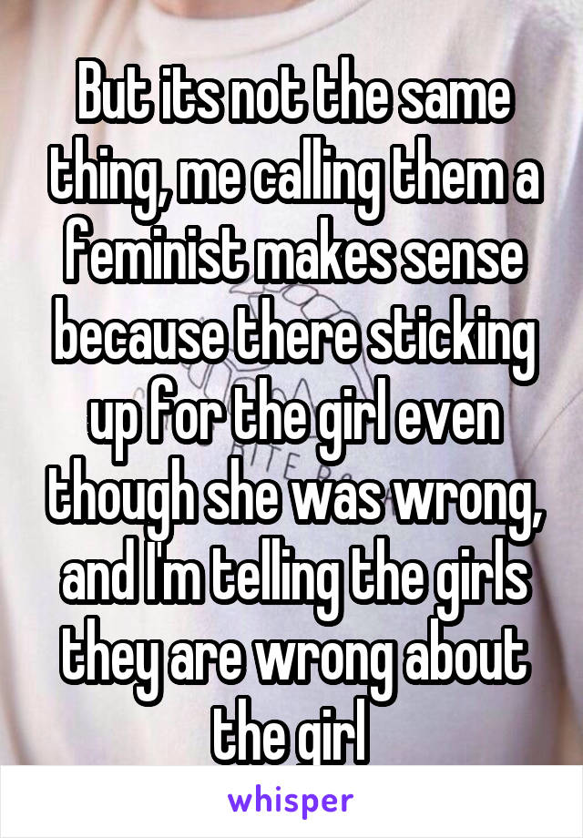 But its not the same thing, me calling them a feminist makes sense because there sticking up for the girl even though she was wrong, and I'm telling the girls they are wrong about the girl 