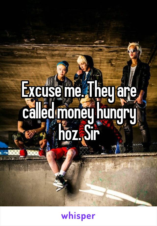 Excuse me. They are called money hungry hoz. Sir