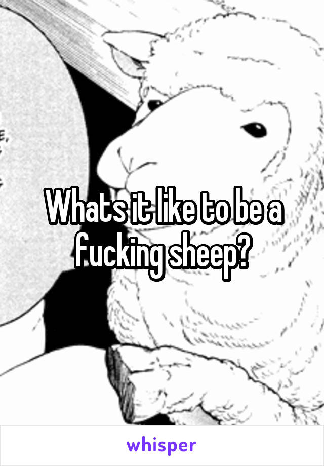 Whats it like to be a fucking sheep?